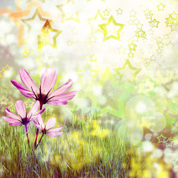 Similar image 1507334