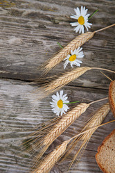 Similar image 1507372