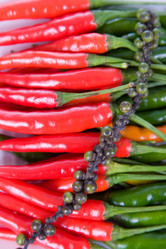 Similar image 1507379