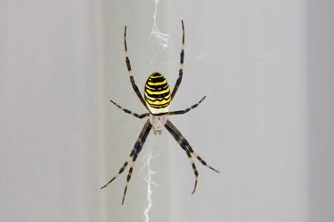 Similar image 1507380