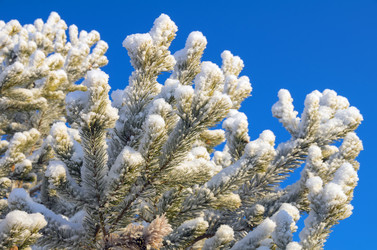 Similar image 1507401