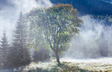 Similar image 1507404