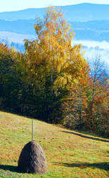 Similar image 1507410