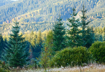 Similar image 1507412