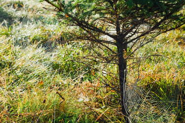 Similar image 1507421