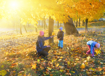 Similar image 1507440