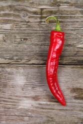 Similar image 1507449