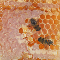 Similar image 1507453