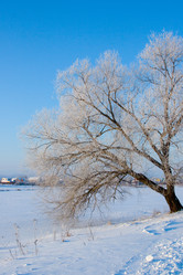 Similar image 1507454