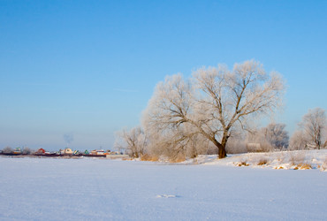 Similar image 1507457