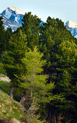 Similar image 1507477