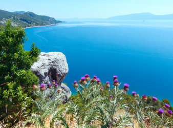 Similar image 1507481