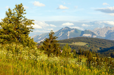 Similar image 1507484