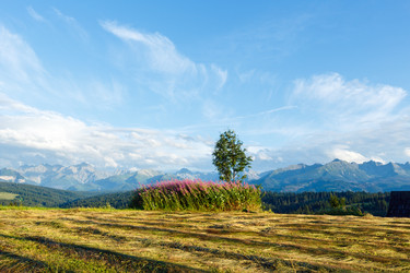 Similar image 1507487