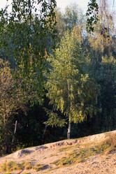 Similar image 1507498