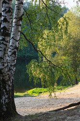 Similar image 1507499