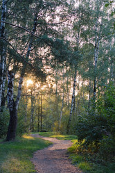 Similar image 1507501