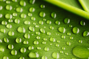 Similar image 1507538