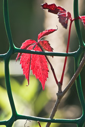 Similar image 1507690