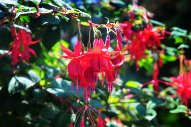 Similar image 1507695