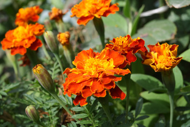 Similar image 1507702