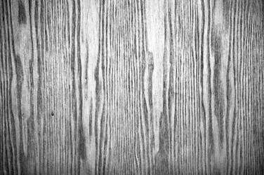 Similar image 1507716