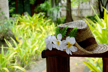 Similar image 1507720