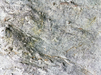 Similar image 1507727