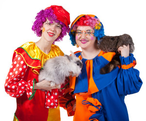 Similar image 1507795