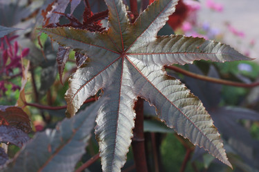 Similar image 1507803