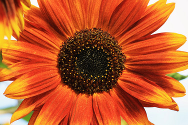 Similar image 1507805