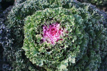 Similar image 1507807