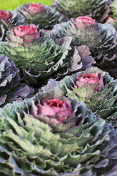 Similar image 1507808