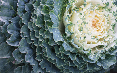 Similar image 1507809