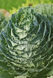 Similar image 1507810