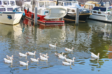 Similar image 1507866