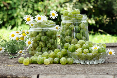 Similar image 1507887