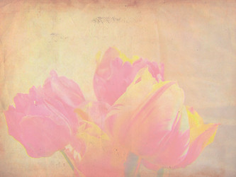 Similar image 1507891