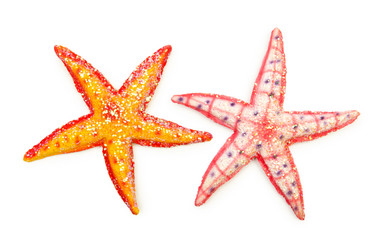 Similar image 1507989