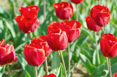 Similar image 1508030