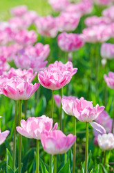 Similar image 1508031