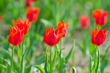 Similar image 1508060