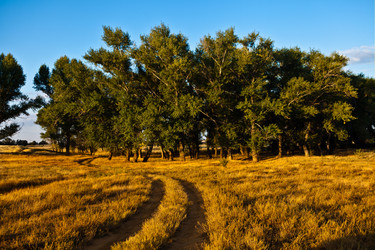 Similar image 1508062