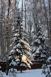 Similar image 1508117