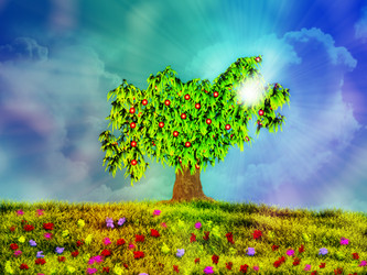 Similar image 1508186