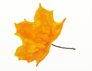 Similar image 1508190