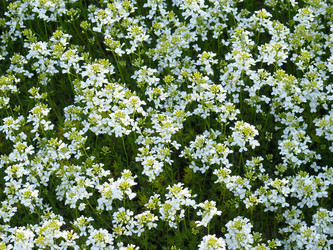 Similar image 1508253