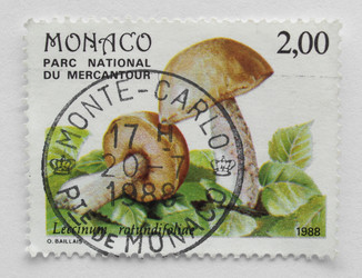 Similar image 1508274