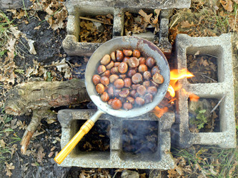 Similar image 1508278