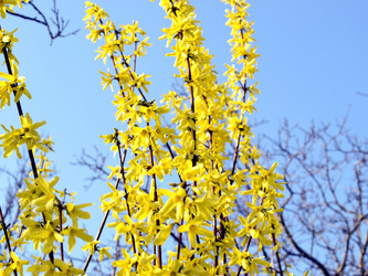 Similar image 1508282